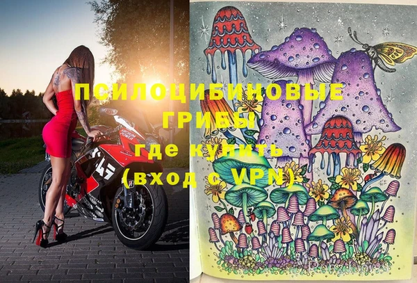 кокс Нея