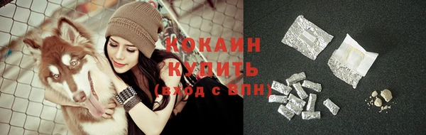 кокс Нея