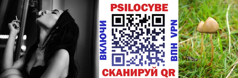 Псилоцибиновые грибы Psilocybe  Павловский Посад 