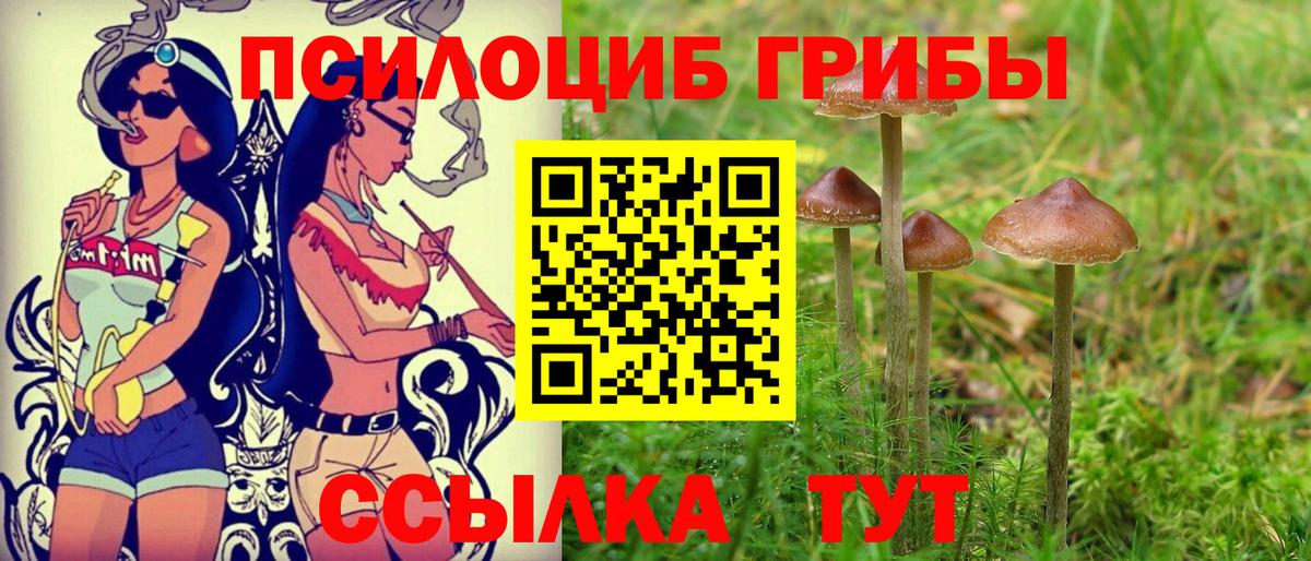 Псилоцибиновые грибы ЛСД Павловский Посад