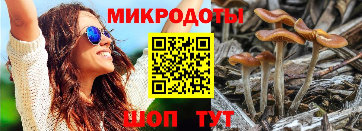 Павловский Посад  Галлюциногенные грибы мицелий  Вход с VPN  Галлюциногенные грибы Psilocybine cubensis 