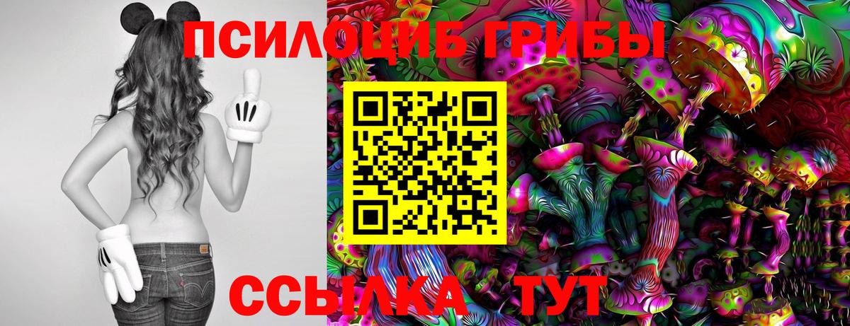 Псилоцибиновые грибы Magic Shrooms Павловский Посад